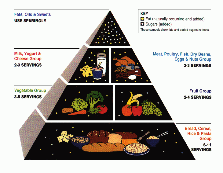 the old food pyramid