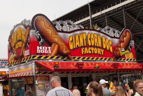 State Fair 2015-14