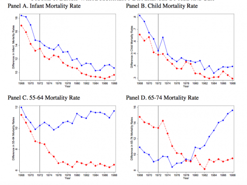Black-white differences in mortality by age group and gender.