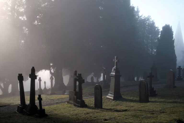Foggy graveyard framed by old trees
