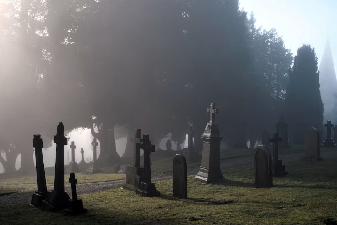 Foggy graveyard framed by old trees